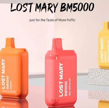 LostMary BM5000 Puff einnota